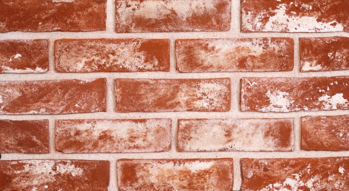 El Yapımı Kaplama Tuğla   302-White Red